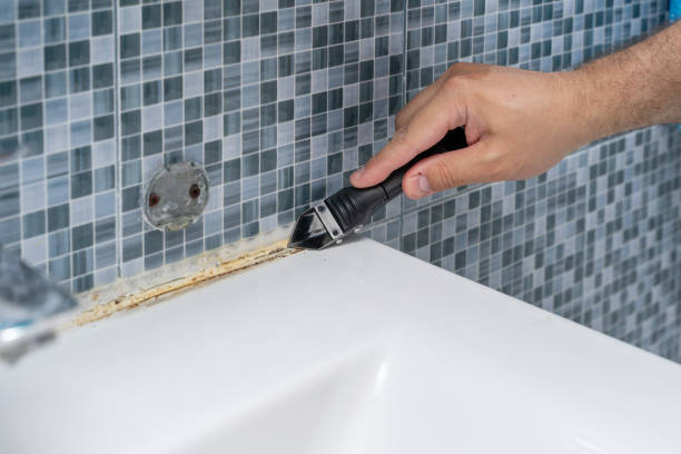 Best DIY Mold Remediation Support Services in Anderson, CA