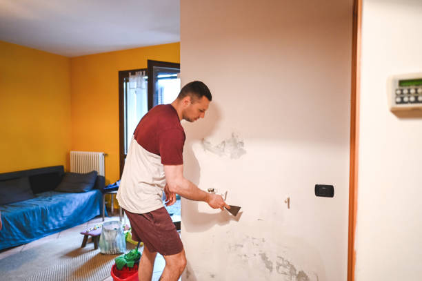Best Commercial Mold Remediation in Anderson, CA
